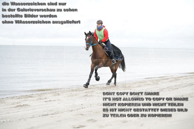 s_K3F04749.JPG